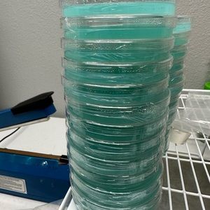 Pre poured Petri dish PDA (10pack)
